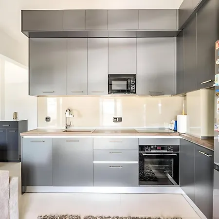 Elegant, Modern & Spacious In With Balcony Apartment